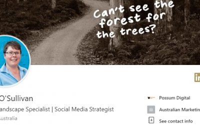 Why your LinkedIn profile picture matters